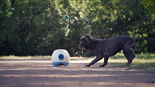 iFetch Interactive Ball Launchers for Dogs