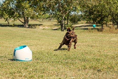 iFetch Interactive Ball Launchers for Dogs