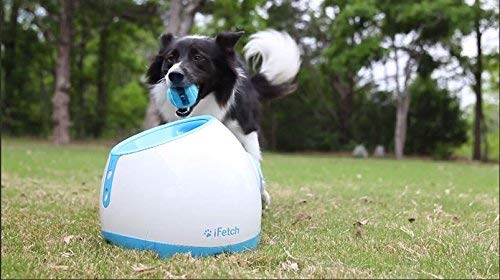 iFetch Interactive Ball Launchers for Dogs